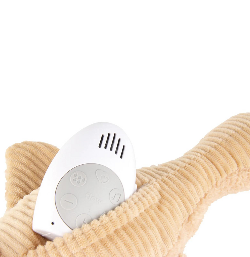 oie sonore liva beige