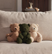 peluche teddy bear boucle biscuit