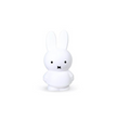 petite tirelire pure miffy