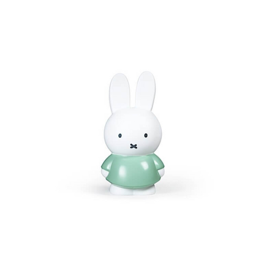 Petite Tirelire | Miffy Verte